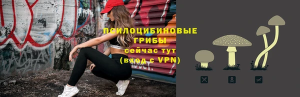 стафф Ельня