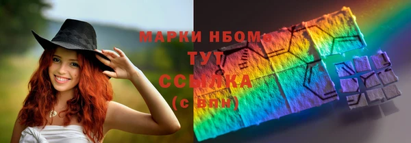 стафф Ельня