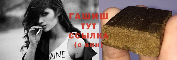 стафф Ельня