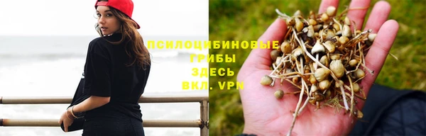 стафф Ельня