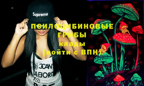 Альфа ПВП Елизово