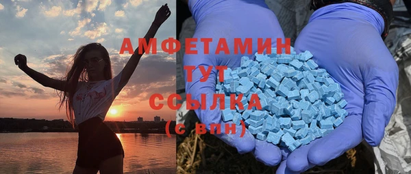 стафф Ельня