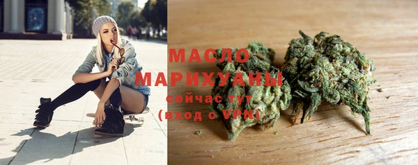 стафф Ельня