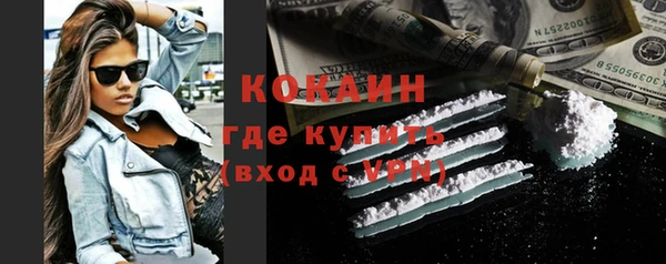 стафф Ельня